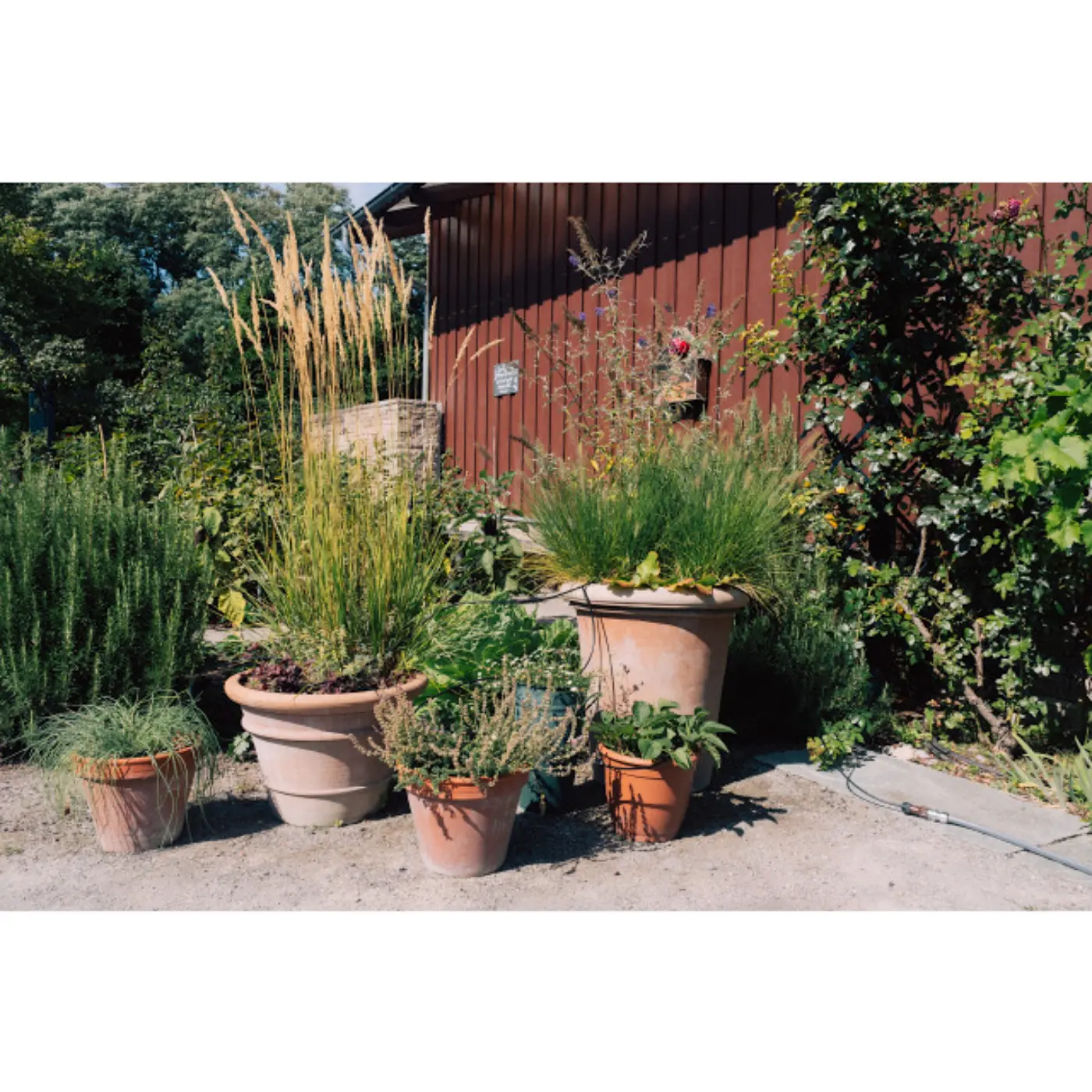 Bewässerungsset für Balkon und Terrasse GEKA Drip System