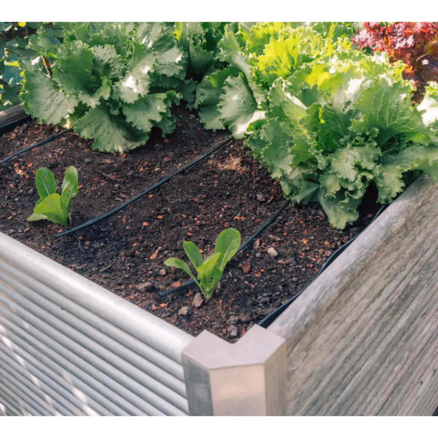 Bewässerungsset für Gemüse und Blumenbeete GEKA Drip System