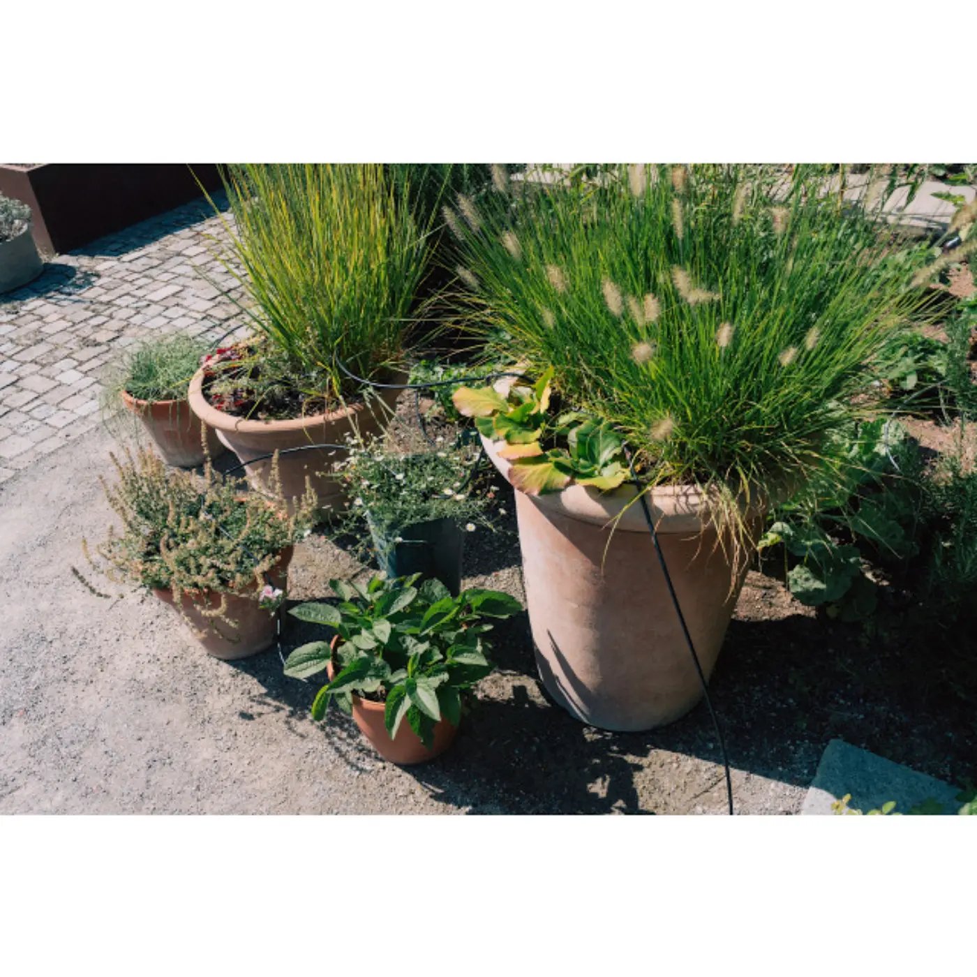 Bewässerungsset für Balkon und Terrasse GEKA Drip System