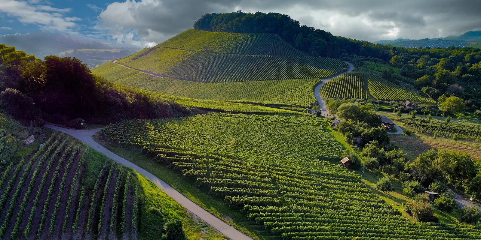 Panorama Weinsberg Weibertreu